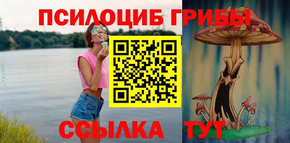 Нурлат  Галлюциногенные грибы Cubensis  Псилоцибиновые грибы Psilocybine cubensis  Вход с VPN 